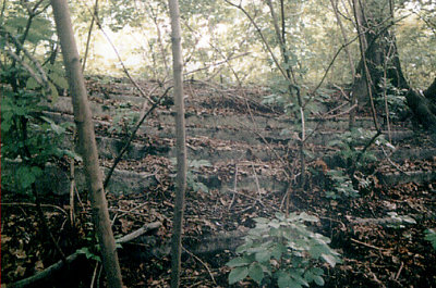 Rozmiar: 51426 bajtów